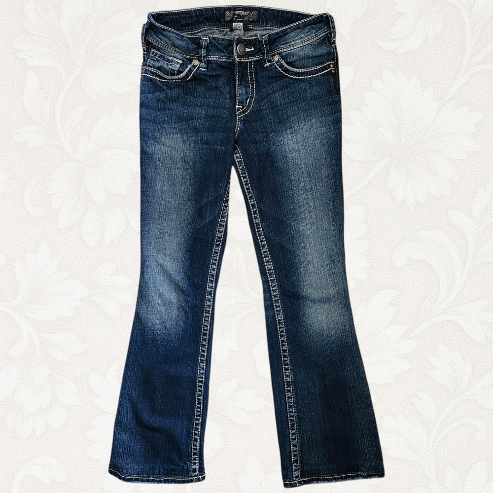 Silver Jeans Co. Low Rise Flare Denim – Women’s 29 – Y2K Retro Distressed Blue